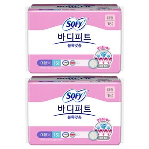 바디피트 볼록맞춤 생리대 날개형, 대형, 16개입, 2개