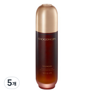 초공진 영안 진 수액, 150ml, 5개
