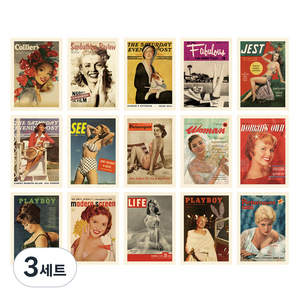 더예쁜 감성 모던 인테리어 포스터 카드 걸 15종 세트, 혼합색상, 3세트