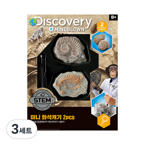 디스커버리 미니 화석캐기 키트 2pcs, 3세트