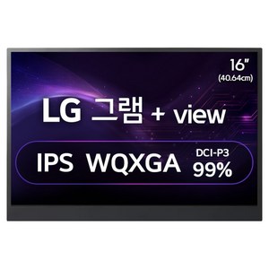 LG전자 WQXGA 그램 +View 모니터, 40cm, 16MR70