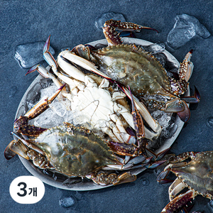 피시원 신진도 산지직송 가을 자망 햇꽃게, 1kg(3~4미), 3개
