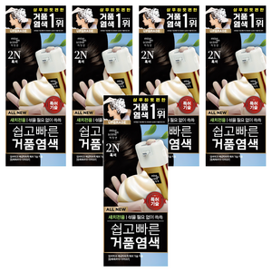 미쟝센 올 뉴 쉽고 빠른 거품 염색제, 2N흑색, 5개