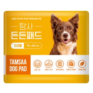 탐사 고흡수 든든패드 레몬향, 50개입, 1개 골드박스 특가