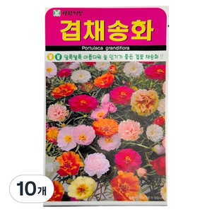 아람씨앗 겹채송화 꽃 씨앗 1000립, 10개