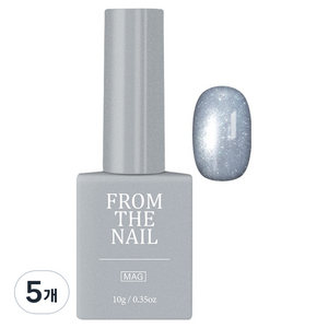 프롬더네일 GLITTER MAGNET GEL 네일, 그레이(FG367), 10g, 5개