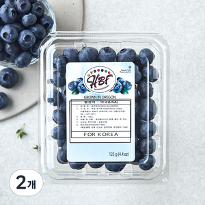 미국산 블루베리, 125g, 2개 골드박스 특가