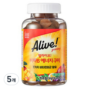 얼라이브 비타B 에너지 구미 90p, 261g, 5개