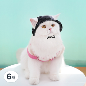 순잠 반려동물 벙거지 햇빛가리개 모자, 블랙, 6개