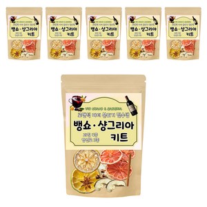 비니하우스 파티 분위기 필수템 뱅쇼 샹그리아 키트 고급형 [과일4종 + 향신료3종 세트] 45g 1세트, 6세트