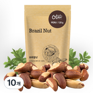 오트리 브라질넛, 120g, 10개