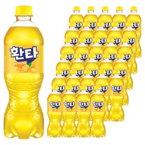 환타 파인애플 탄산음료, 600ml, 48개