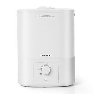 대우어플라이언스 간편세척 초음파 듀얼 노즐 가습기, DEH-X1000, 화이트