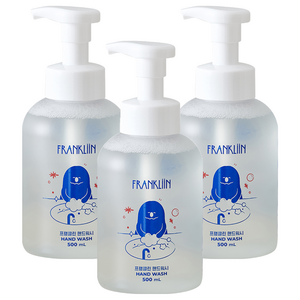 FRANKLIIN 핸드워시 거품형, 원료 본연의 향, 500ml, 3개