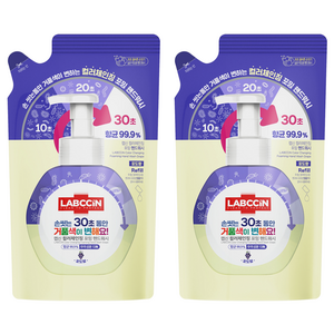 랩신 컬러체인징 포밍 핸드워시 포도향 리필, 450ml, 2개