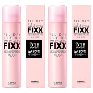 쏘내추럴 올 데이 타이트 메이크업 세팅 픽서, 250ml, 2개