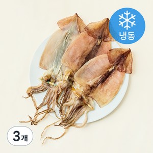 국내산 반건조 오징어 5미 (냉동), 400g, 3개