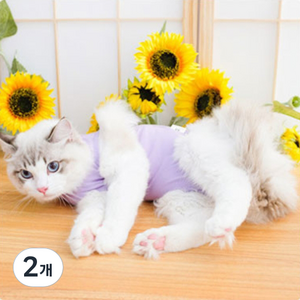 세이코코아 중성화 수술복 그루밍 방지복, 보라, 2개