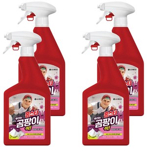 홈스타 뿌리는 곰팡이 싹 세정제, 900ml, 4개