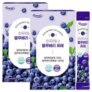 퍼니트 하루하나 블루베리 퓨레, 20g, 28개