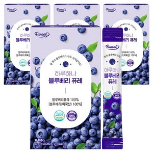 퍼니트 하루하나 블루베리 퓨레, 20g, 56개