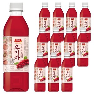 양반 오미자 음료, 500ml, 12개