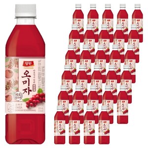 양반 오미자 음료, 500ml, 30개
