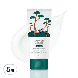라운드랩 포 맨 소나무 진정 시카 크림, 75ml, 5개