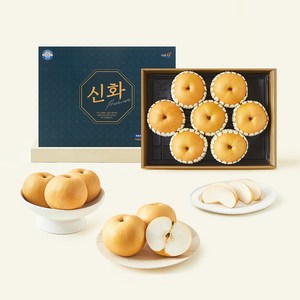 나주오 나주배원예농협 신화 배 선물세트, 5kg, 1개