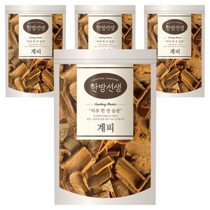 한방선생 사각 계피, 100g, 1개입, 4개