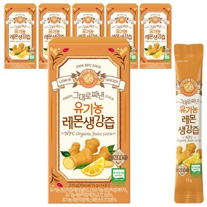 홀베리 그대로 짜낸 유기농 레몬 생강즙 14p, 210g, 6개