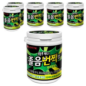롯데웰푸드 졸음번쩍껌 오리지널, 87g, 6개