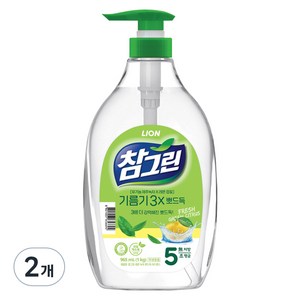 참그린 레몬 녹차 뽀드득 어드밴스 주방세제, 1kg, 2개