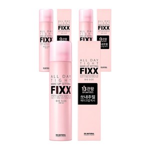 쏘내추럴 올 데이 타이트 메이크업 세팅 픽서, 250ml, 3개