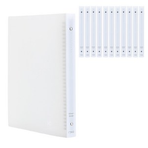 매니아 PP 바인더 파일 30공 A4, 투명, 12개