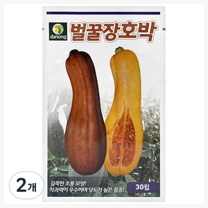다농 벌꿀 장호박 씨앗 30p, 2개