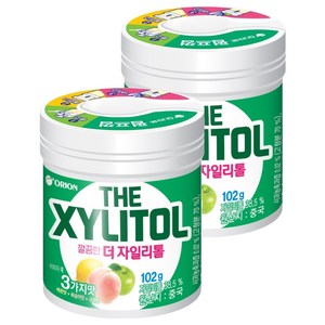 오리온 깔끔한 더 자일리톨, 102g, 2개