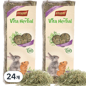 비타폴 건초 소동물 간식 티모시 건초 ZVP-1047, 500g, 24개