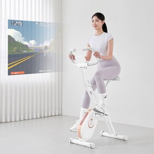 숀리 엑스바이크 메타, 모브 핑크, E4A