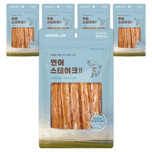 네츄럴랩 강아지 건강한육포 스테이크, 70g, 5개, 연어