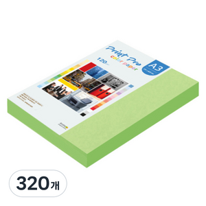 종이문화 프린트 프로 얇은 칼라복사지 No 12 그린 120g, A3, 320개