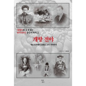 세계사와 포개 읽는 한국 100년 동안의 역사 2:개항 전야: 세도정치에서 강화도 조약 전야까지, 백년동안, 김용삼