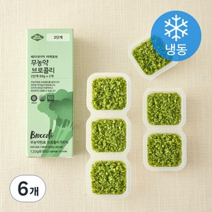 베리네이처 야채큐브 무농약원료가공식품 인증 브로콜리 2단계 (냉동), 60g, 6개