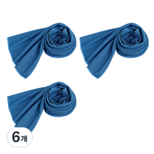 푸트로랩 스포츠 쿨링타올 S 300 x 800 x 5 mm, 블루, 6개