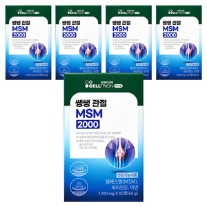 이너랩 쌩쌩관절 MSM 2000 66g, 60정, 5개
