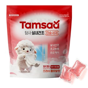 탐사 초고농축 실내건조 캡슐세제 플로럴향, 1개, 100개입 골드박스 특가