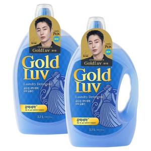 골드럽 세탁세제 파워 딥클린 본품, 3.2L, 2개