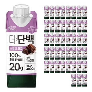 더단백 드링크 초코, 250ml, 54개
