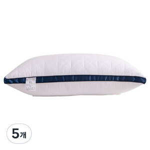 담소온 딥슬립 쿠션형 수면베게 900g, 아이보리, 5개