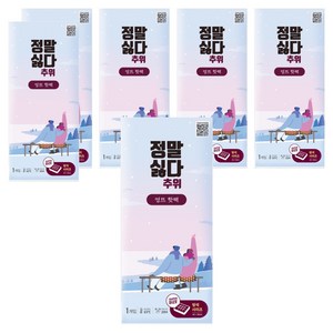 정말싫다 추위 엉뜨 핫팩 540g, 6개